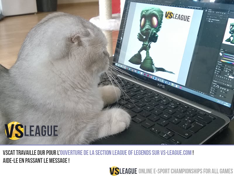 VSLeague - The League of Legends section is in the works