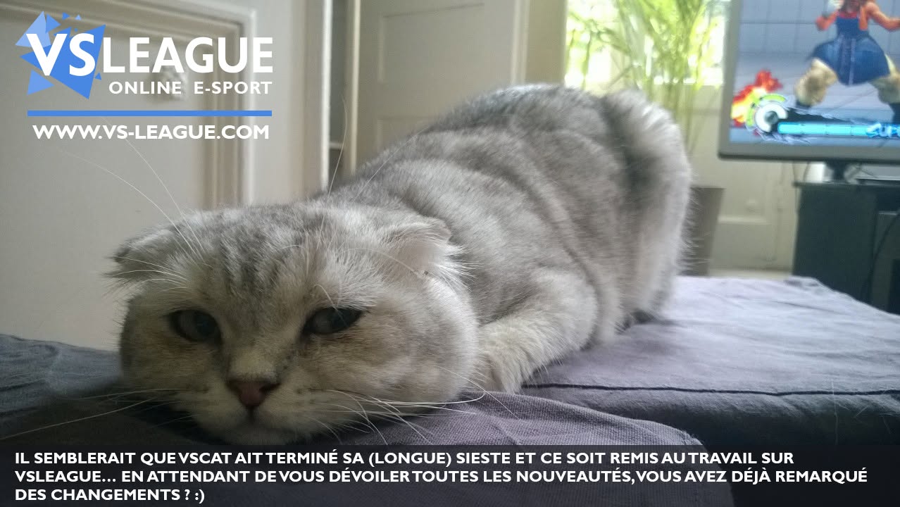 VSLeague - VSCat is back at work