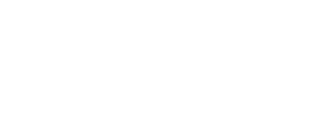 USF4 REVIVAL