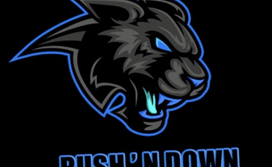RushNdownFrance Team - VSLeague Online eSport