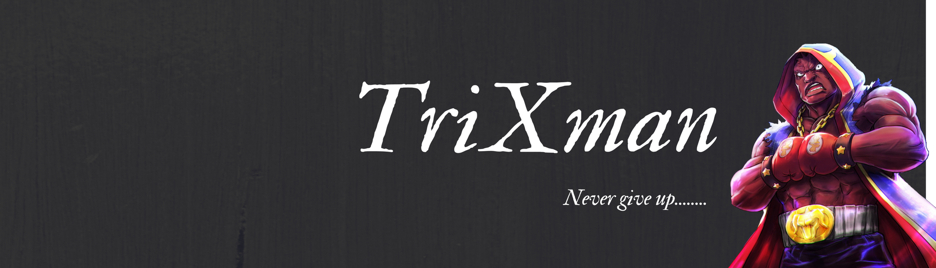 TriX - VSLeague Online eSport