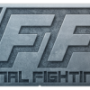 Final_Fighting_Crew - VSL eSport