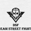 Dream_Street_Fighter - VSLeague Online eSport