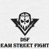 Dream_Street_Fighter Team - VSLeague Online eSport